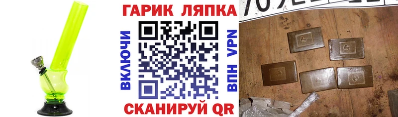 omg ССЫЛКА Гаджиево ГАШ 40% ТГК