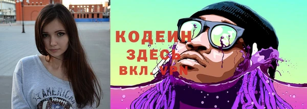 гидра Арсеньев