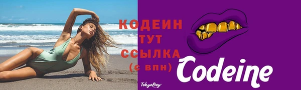 гидра Арсеньев