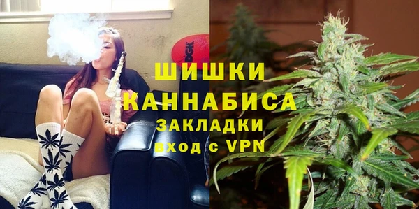гидра Арсеньев