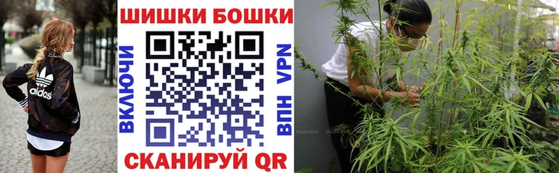 Бошки Шишки SATIVA & INDICA  купить наркоту  Гаджиево 
